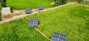 Green Tech is the New Gold How Fintech is Embracing Sustainability